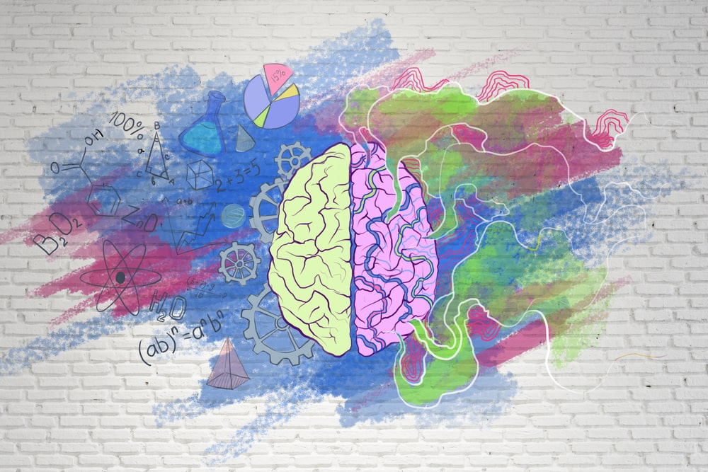 cérebro para indicar inteligência emocional