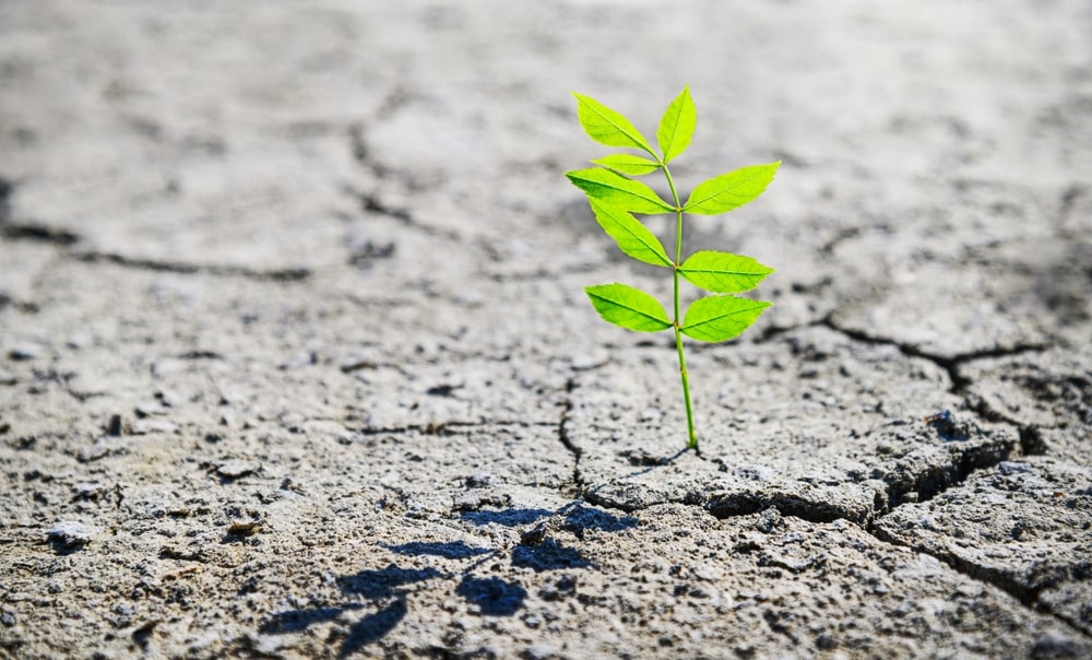 o que é uma pessoa resiliente