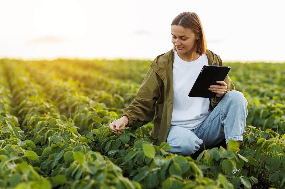 áreas em destaque em Agricultura