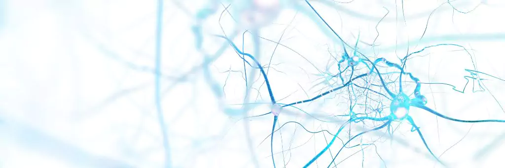 imagem de neurônios